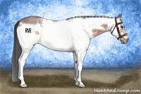 Horse Color:White Spotted Bay Roan Splash Frame 