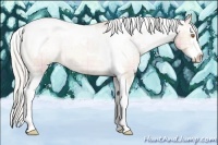 Horse Color:Plaid  Silver Classic Champagne Sabino Splash Tobiano Appaloosa 