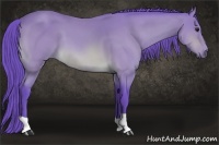 Horse Color:Watercolor Buckskin 