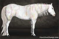 Horse Color:Silver Bay Ice Roan Dun Splash Appaloosa
