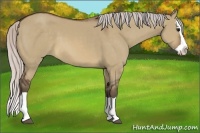 Horse Color:Silver Brown Dun Splash 