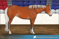 Horse Color:Silver Bay 