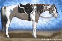 Horse Color:Grullo Splash Tobiano