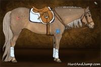 Horse Color:Chocolate Palomino 
