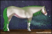 Horse Color:Watercolor Buckskin Onyx Sabino 