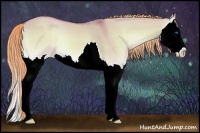Horse Color:Watercolor Palomino Onyx Splash 
