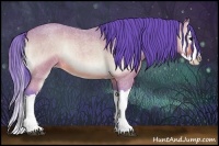 Horse Color:Watercolor Buckskin Roan Onyx Splash