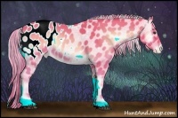 Horse Color:Watercolor Palomino Onyx Sabino Appaloosa