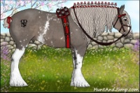 Horse Color:White Spotted Silver Black Sabino 