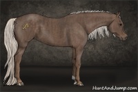 Horse Color:Silver Black  Brindle