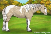 Horse Color:Silver Grullo Ice Splash Tobiano 