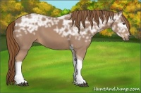 Horse Color:Chestnut Ice Tobiano 