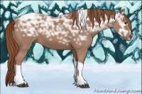 Horse Color:Chestnut Ice Tobiano