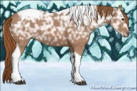 Horse Color:Chestnut Ice Tobiano