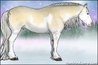 Horse Color:Silver Buckskin Roan Onyx Splash