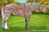 Horse Color:Silver Bay Ice 