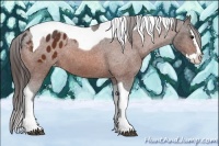 Horse Color:Bay Splash Tobiano Appaloosa Rabicano