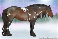 Horse Color:White Spotted Liver Chestnut Rabicano 