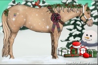 Horse Color:Gold Champagne