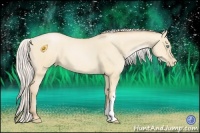 Horse Color:Silver Buckskin Pearl Dun