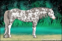 Horse Color:Silver Black Ice Splash 