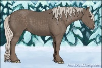 Horse Color:Silver Black 