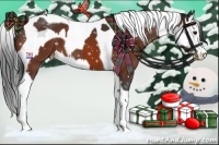 Horse Color:Bay Splash Tobiano Appaloosa  and Bay Splash Tobiano Appaloosa 