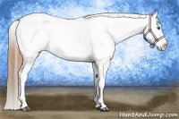 Horse Color:Bay Splash Tobiano Blanket  Brindle