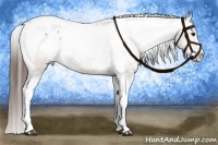 Horse Color:Brown Splash Tobiano Varnish and Brown Splash Tobiano Varnish