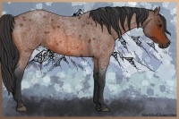 Horse Color:Bay Roan 
