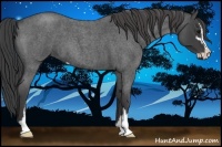 Horse Color:Smoky Blue Roan Sabino 