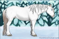 Horse Color:Bay Splash Tobiano Appaloosa
