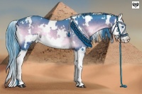 Horse Color:Watercolor White Spotted Brown Roan Onyx Splash 