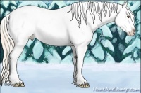 Horse Color:Palomino Ice Dun Splash Tobiano Appaloosa 