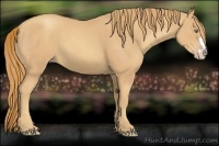 Horse Color:Gold Champagne Frame 