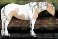 Horse Color:Silver Bay Ice Tobiano