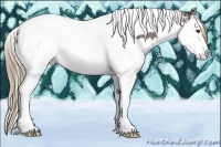 Horse Color:Liver Chestnut Ice Splash Tobiano 