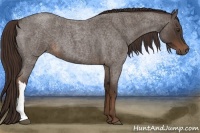 Horse Color:Liver Red Roan 