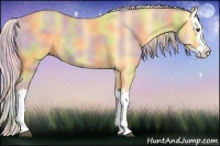 Horse Color:Nacre Palomino Dun Splash