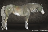 Horse Color:Chocolate Palomino Sabino 