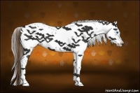 Horse Color:Liver Chestnut Frame 