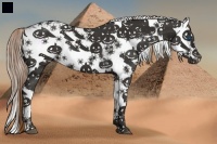 Horse Color:Liver Chestnut Frame 