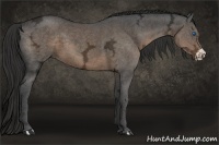 Horse Color:Liver Chestnut Ice Frame 