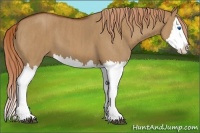 Horse Color:Red Dun Splash Brindle