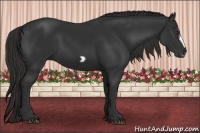 Horse Color:Liver Chestnut Frame 