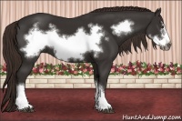 Horse Color:Liver Chestnut Frame 
