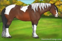 Horse Color:Bay Splash Tobiano