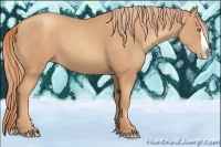 Horse Color:Gold Champagne Splash 