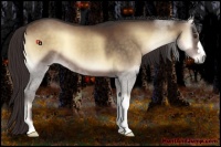 Horse Color:Liver Red Onyx 
