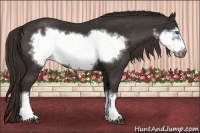 Horse Color:Liver Chestnut Frame 